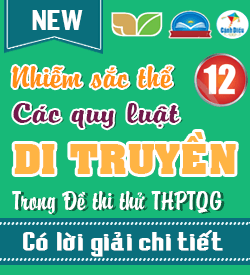 Nhiễm sắc thể và các Quy luật Di truyền (VD_VDC)